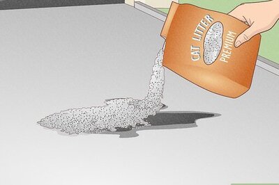 Best Ways to Remove Oil and Grease Stains from Your Driveway