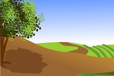 How to Plant a Flowering Almond Shrub