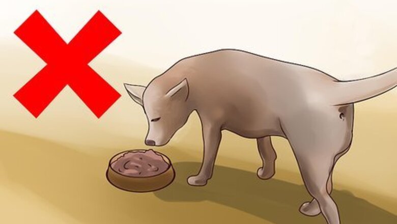 How to Treat Canine Kidney Disease