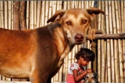 Telangana: Boy Killed in Stray Dog Attack in Warangal