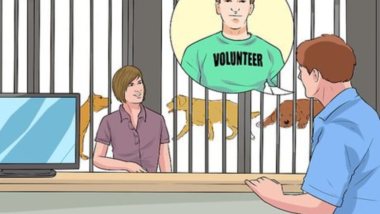 How to Help Dogs in Need