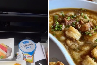 Travel Vlogger Compares Indian & American Food On Flight And The Winner Is...