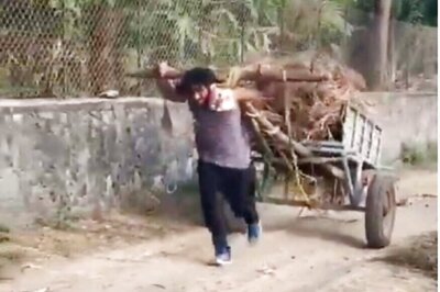 Vidyut Jammwal Uses 'Raw Animal Strength' to Pull a Bullock Cart, Watch Video