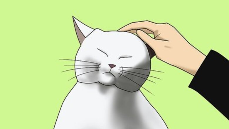How to Get Affection