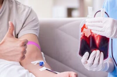 How Our Body Makes New Blood And Replaces The Old