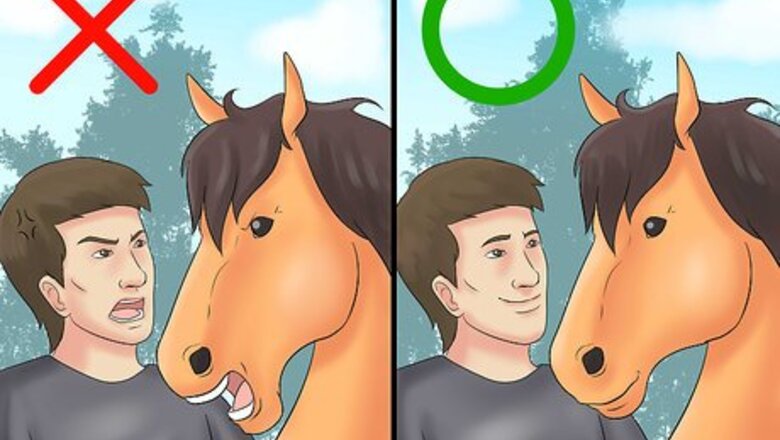 How to Calm Your Hot Horse