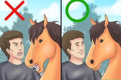 How to Calm Your Hot Horse