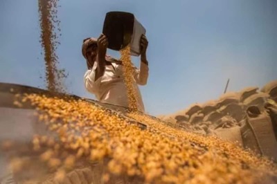 Govt Halves Wheat Stock Limit for Traders, Wholesalers, Big Chain Retailers and Processors