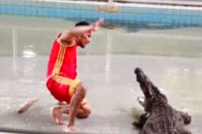 Watch: Crocodile Stunt Takes Terrifying Turn In Front Of Live Audience