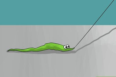 How to Do Tricks with Your Fuzzy Magic Worm