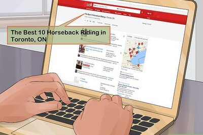 How to Select a Horse Stable