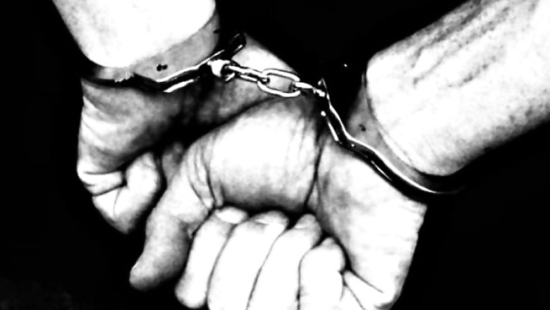 Woman Who Faked Diplomat Career Arrested in Noida With United Nations Card, Luxury Cars