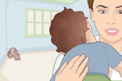 How to Deal With a Snake in the House