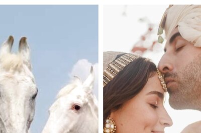 Alia Bhatt-Ranbir Kapoor Wedding: Inseparable Horses Named Ranbir and Alia