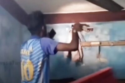 Watch: The Moment Puducherry Snake Handler Caught Poisonous Reptile