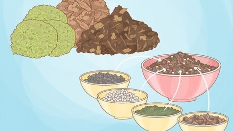 How to Plant and Grow Orchids