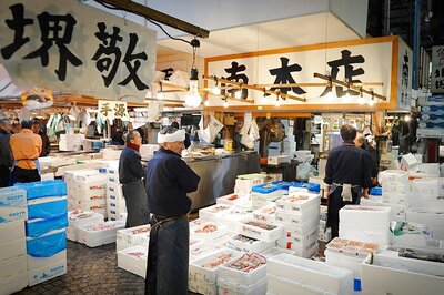 Toxic Chemicals Detected at Tokyo's New Fish Market Site