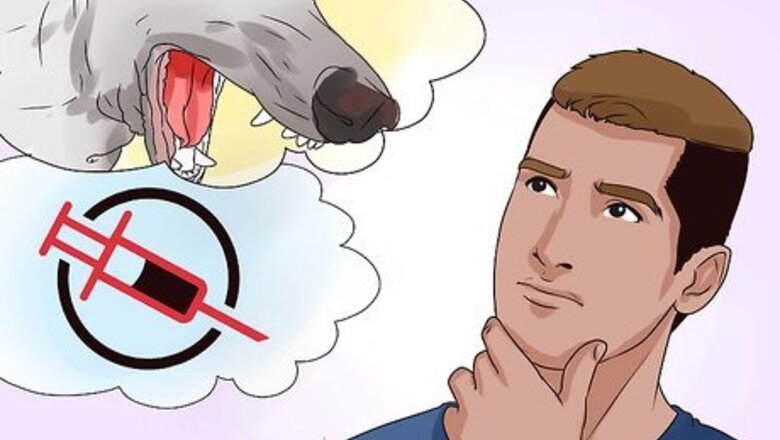 How to Survive Rabies Shots