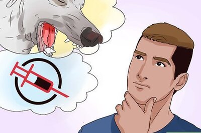 How to Survive Rabies Shots