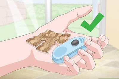 How to Train a Dog to Sit (Treat and Click Method)