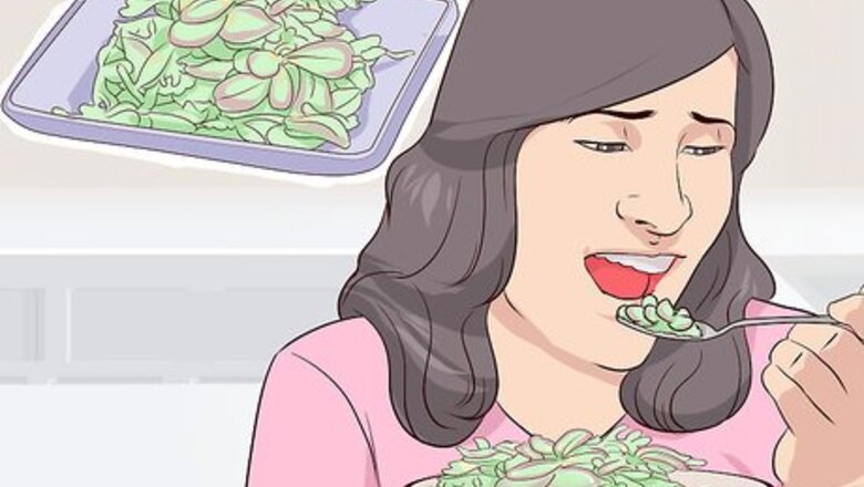 How to Increase Your Energy Levels Using Purslane