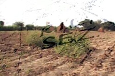 Investors are in a tizzy over SEZs