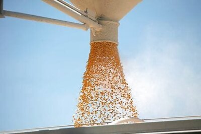 U.S. sells record amount of corn to China as tensions rise