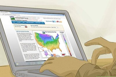 How to Choose Outdoor Hanging Plants