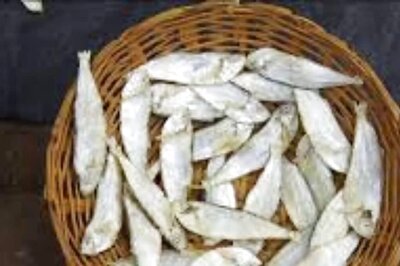 With The Onset Of Monsoon, Sale Of Dry Fish Surges In Karnataka’s Karwar