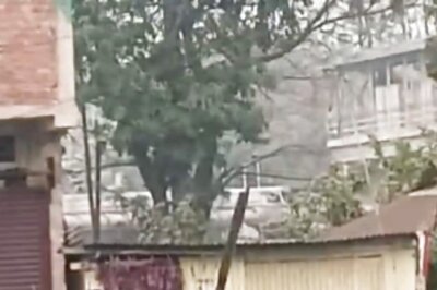 This Video Of Wild Gaur Attacking Man In Broad Daylight Is As Scary As It Gets