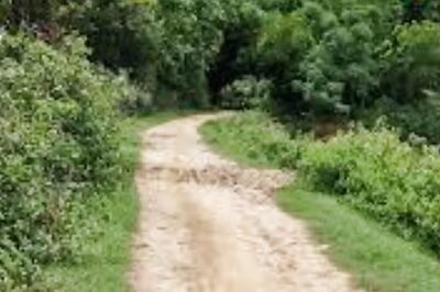 No Help From Govt Forces Jharkhand Villagers To Construct Road On Their Own To Tackle Monsoon