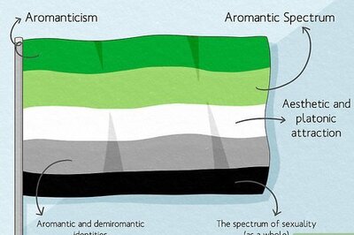A Guide to the Aromantic Flag: Meaning, Colors & More