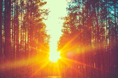 Aaj Ka Panchang, February 22, 2024: Tithi, Vrat, and Today’s Shubh, Ashubh Muhurat