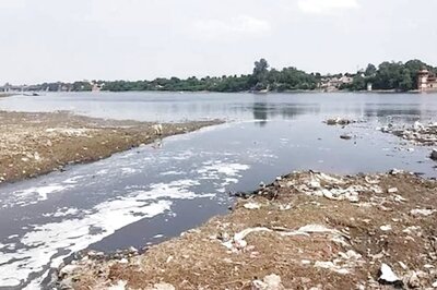 Ruling AAP, BJP Engage in Blame Game Over Frothing in Yamuna