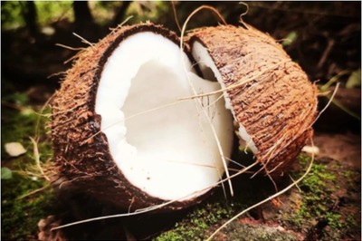 Here are Top Health and Nutritional Benefits of Coconut Oil