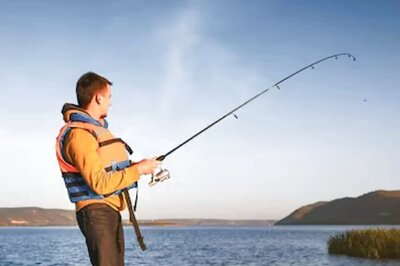 Aussie Fisherman Catches Mystery Creature, Experts Identify It As Sea Pen