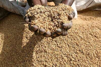 Government Adds Biotech, Genomics Programmes to Connect Farmers Directly With Scientists