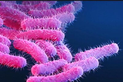 After Maharashtra's 'Double Mutant', New Variant of 'Immune Escape' Virus Found in West Bengal: Report