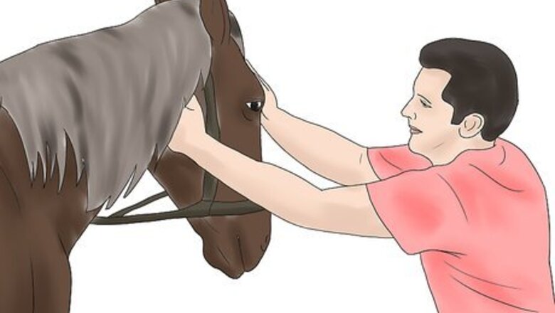 How to Condition Your Horse