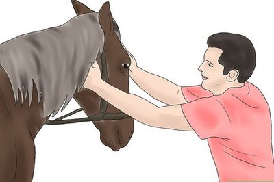 How to Condition Your Horse