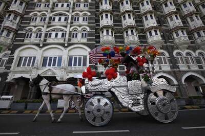 Bombay HC bans horse-drawn carriages calling them illegal