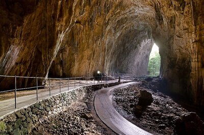 Reasons to Visit These Four Trendy Travel Destinations