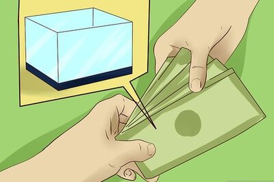 How to Maintain Salt Water Aquariums