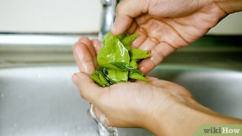 How to Preserve Curry Leaves