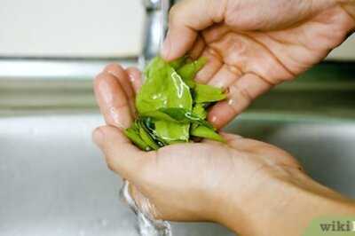 How to Preserve Curry Leaves