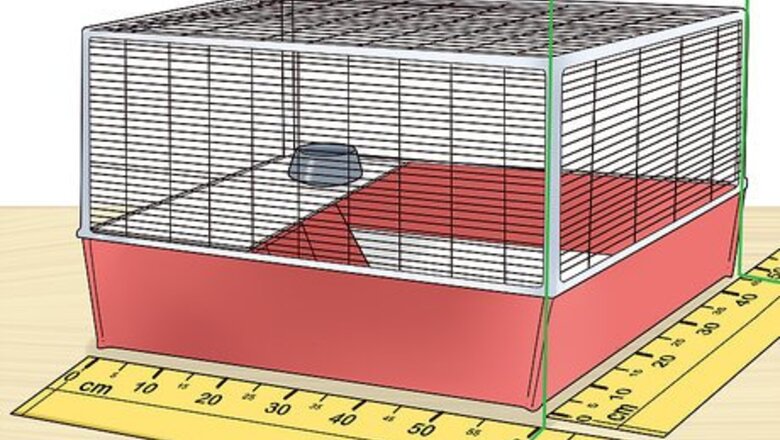 How to Care for a Polish Rabbit