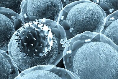 New Device to Capture and Identify Viruses Developed