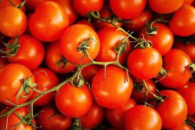 Humble Tomato A Day Can Boost Your Virility