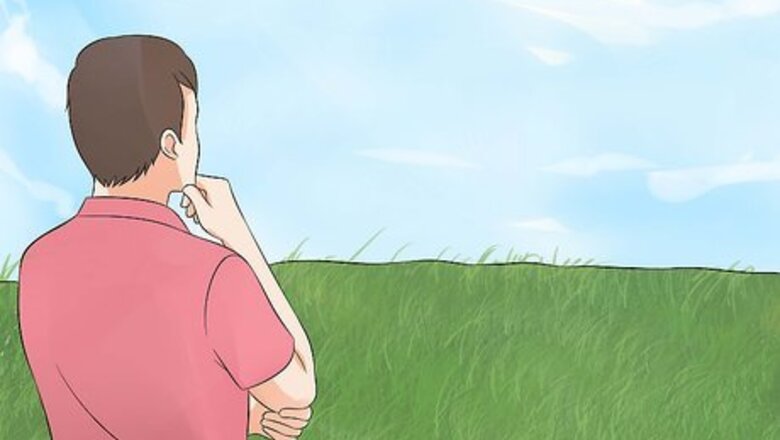 How to Grow an Apple Tree