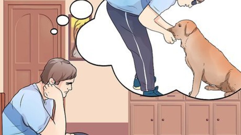 How to Get a Therapy Dog